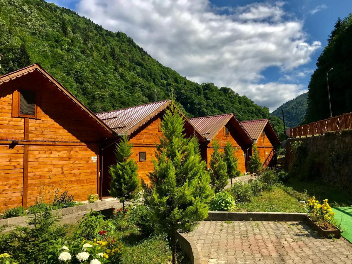 Tuva Villa Bungalov Çamlıhemşin Exterior foto