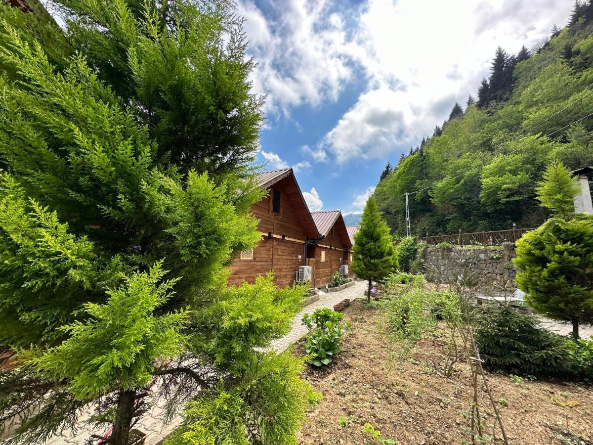 Tuva Villa Bungalov Çamlıhemşin Exterior foto